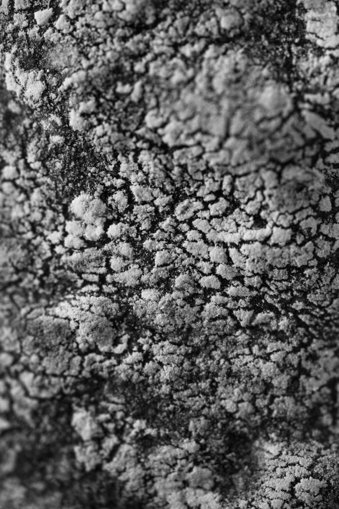 Bread for Nature Issue of Uppers and Downers Magazine by Marlene Mautner