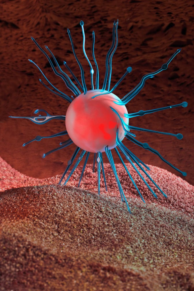 Mars Organisms ii by Marlene Mautner